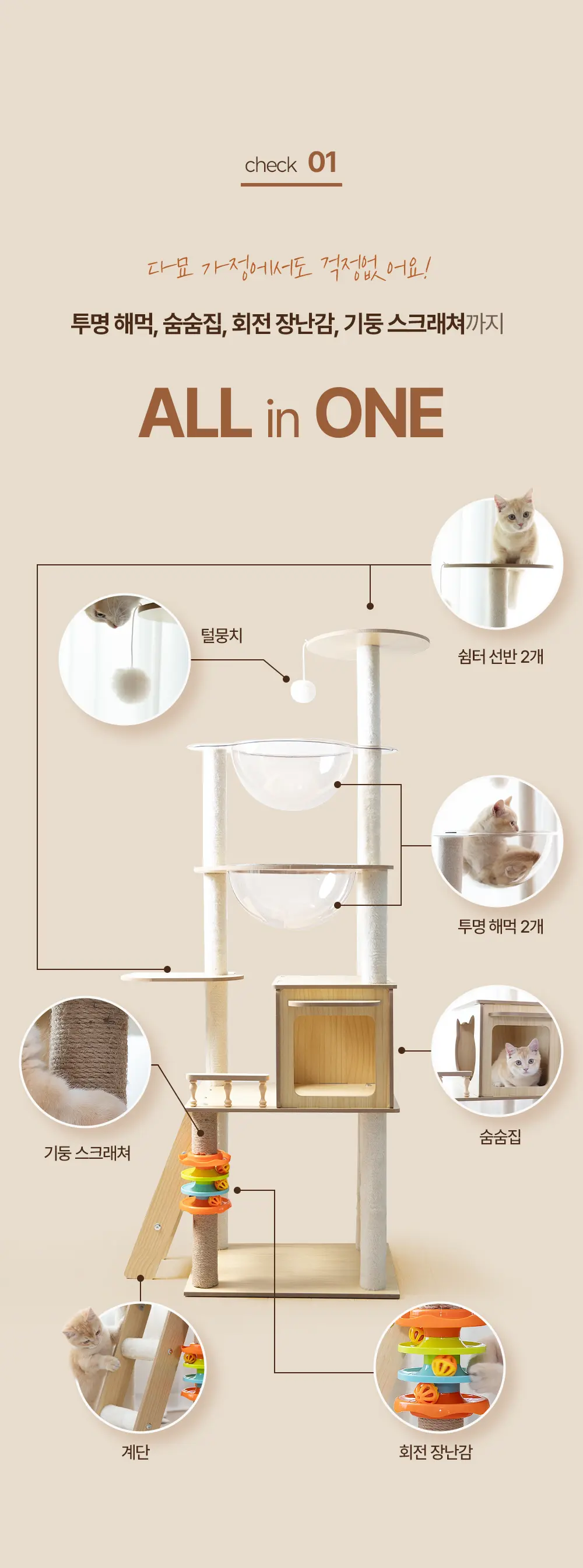 이미지 8