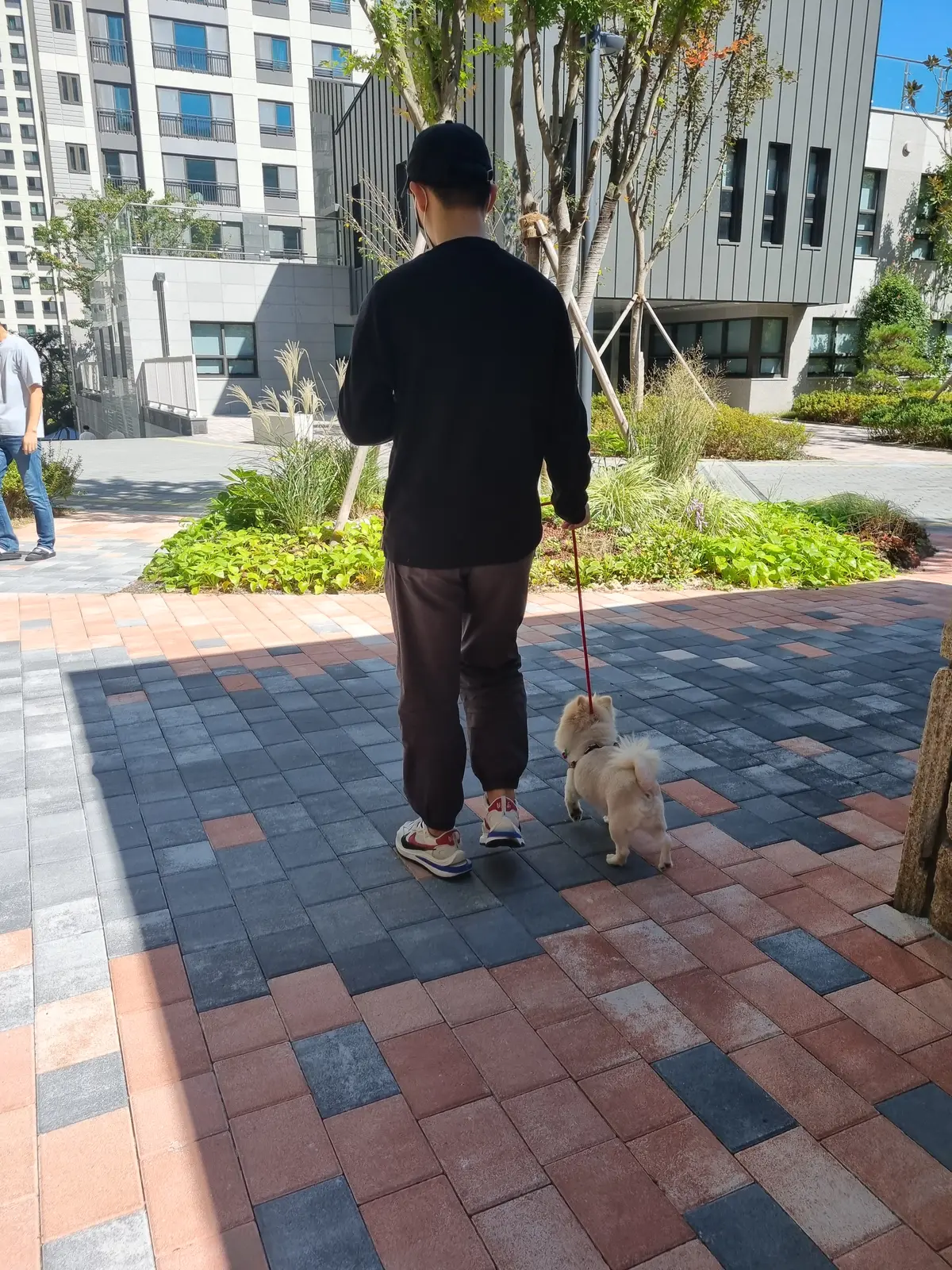 이미지 5
