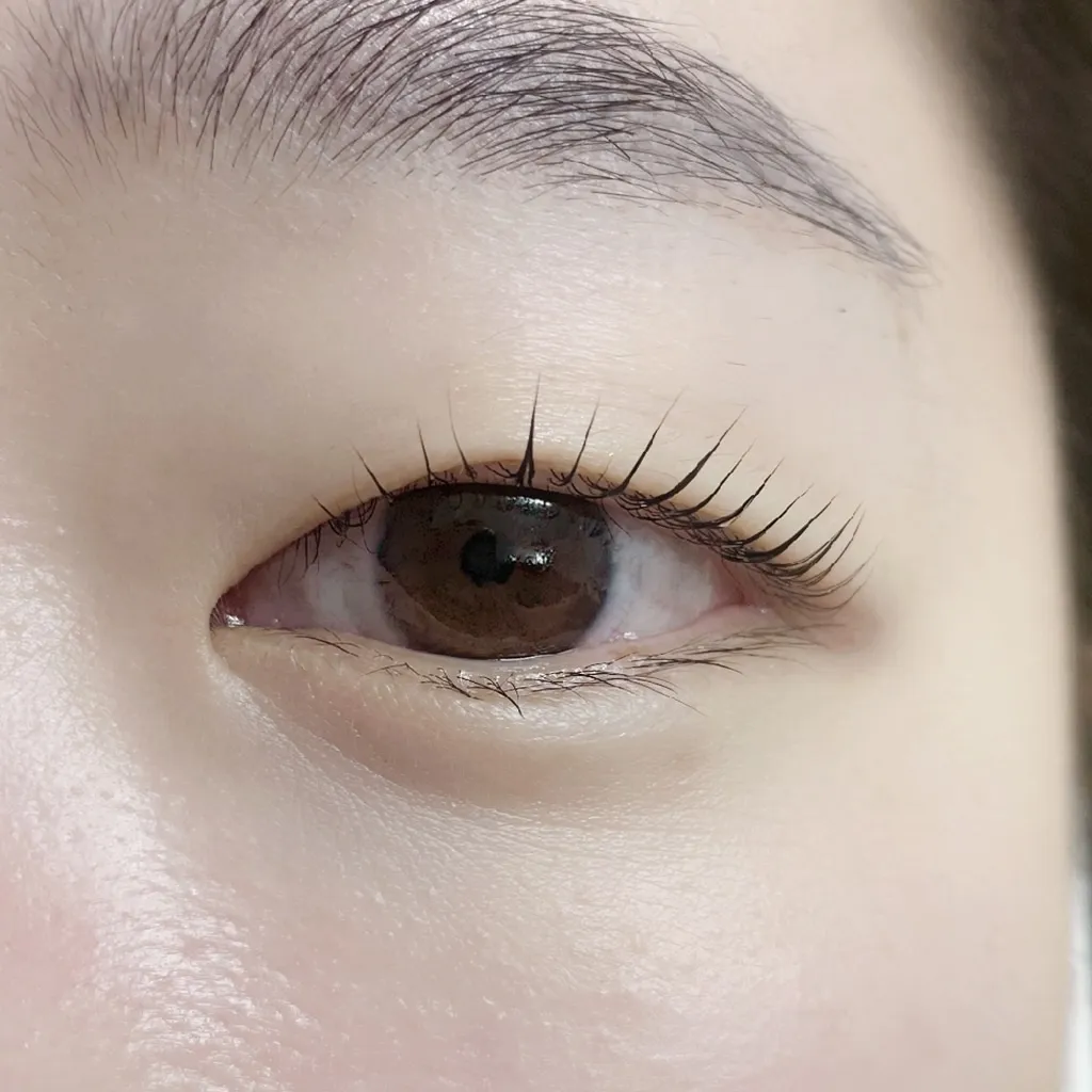 이미지 6