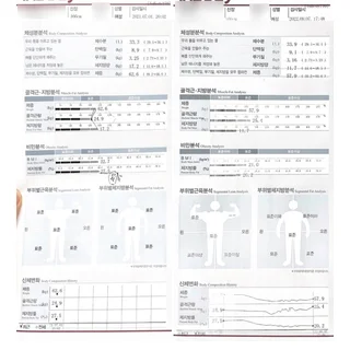 체지방 감소, 다이어트 및 6개월 이상 유지