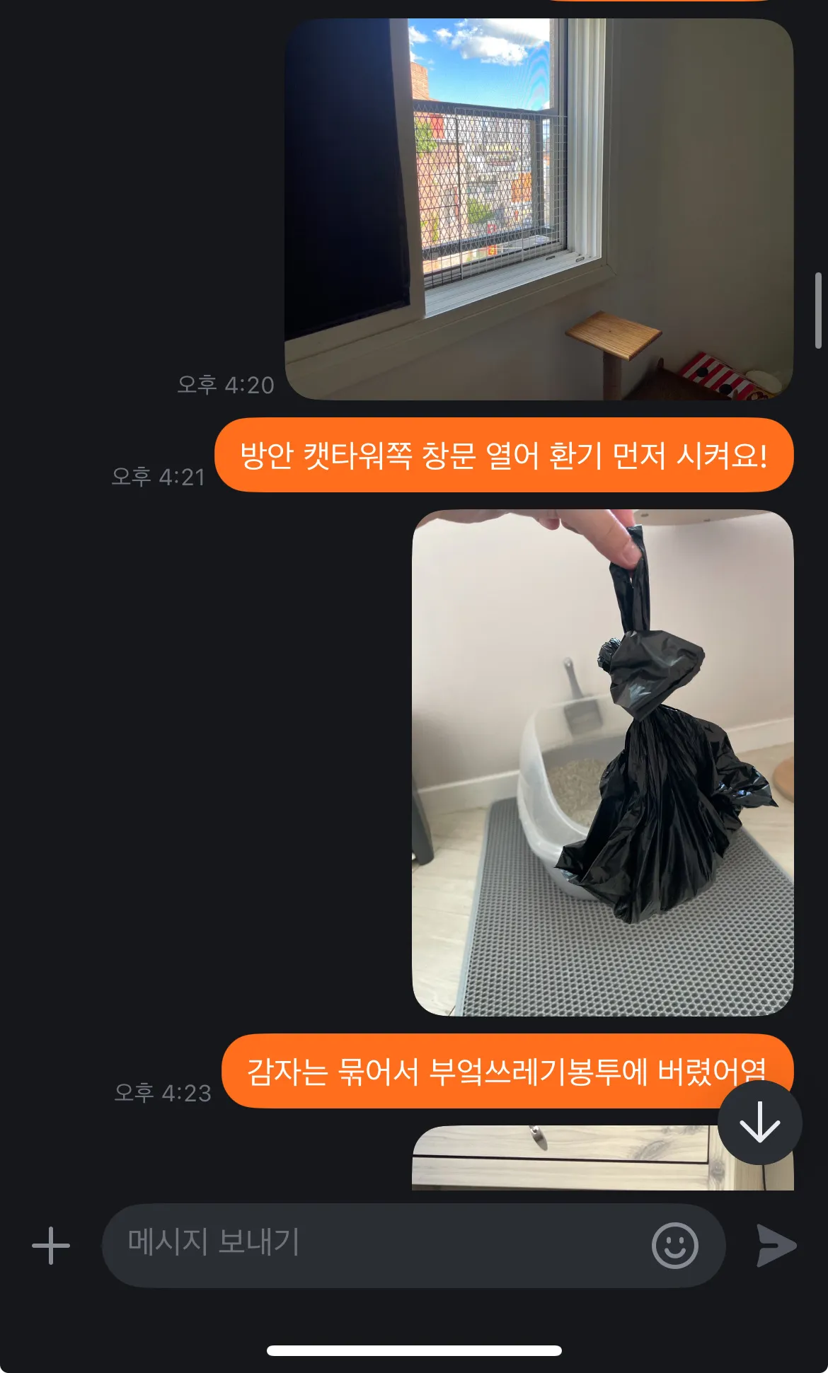 이미지 3