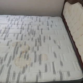 침대 강아지 오줌 세탁과정