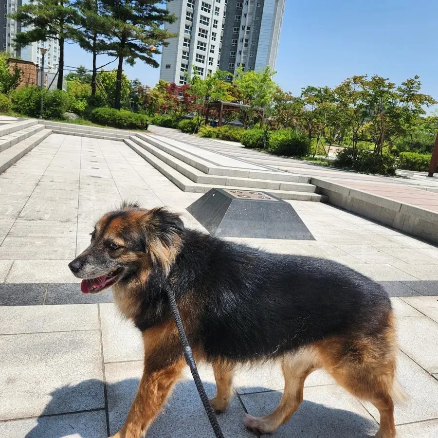 이미지 6