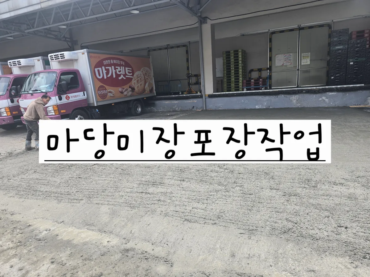 이미지 28