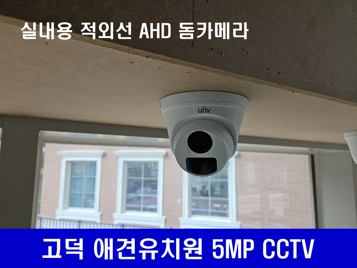 이미지 11