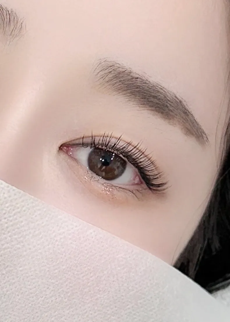 이미지 5
