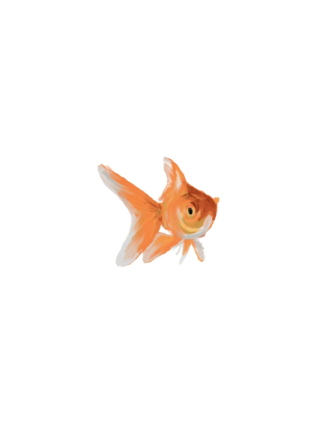 이미지 8