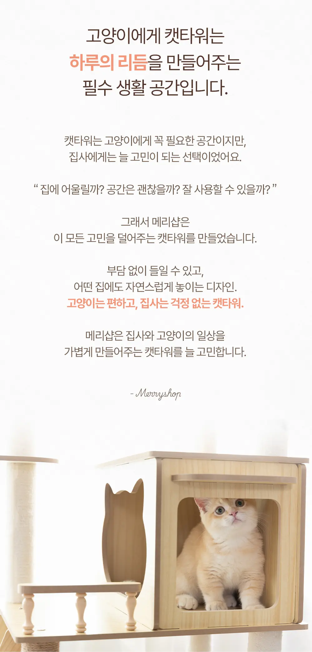 이미지 6