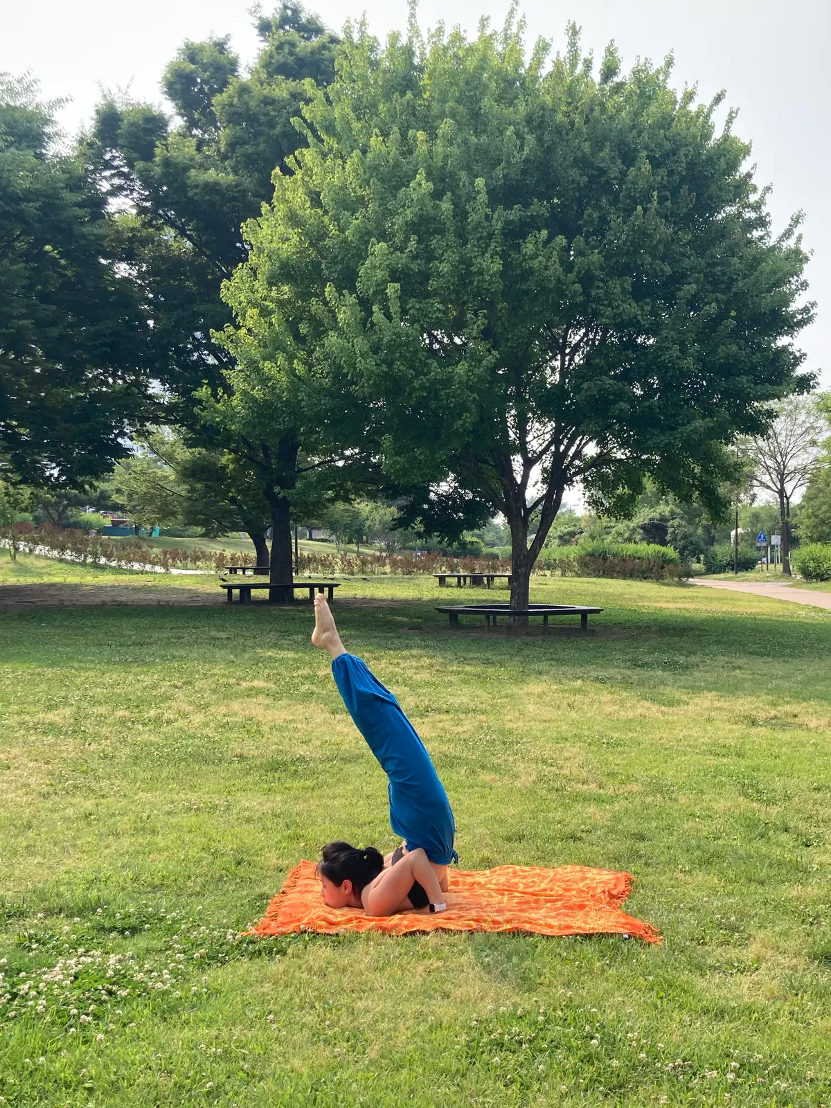 이미지 10