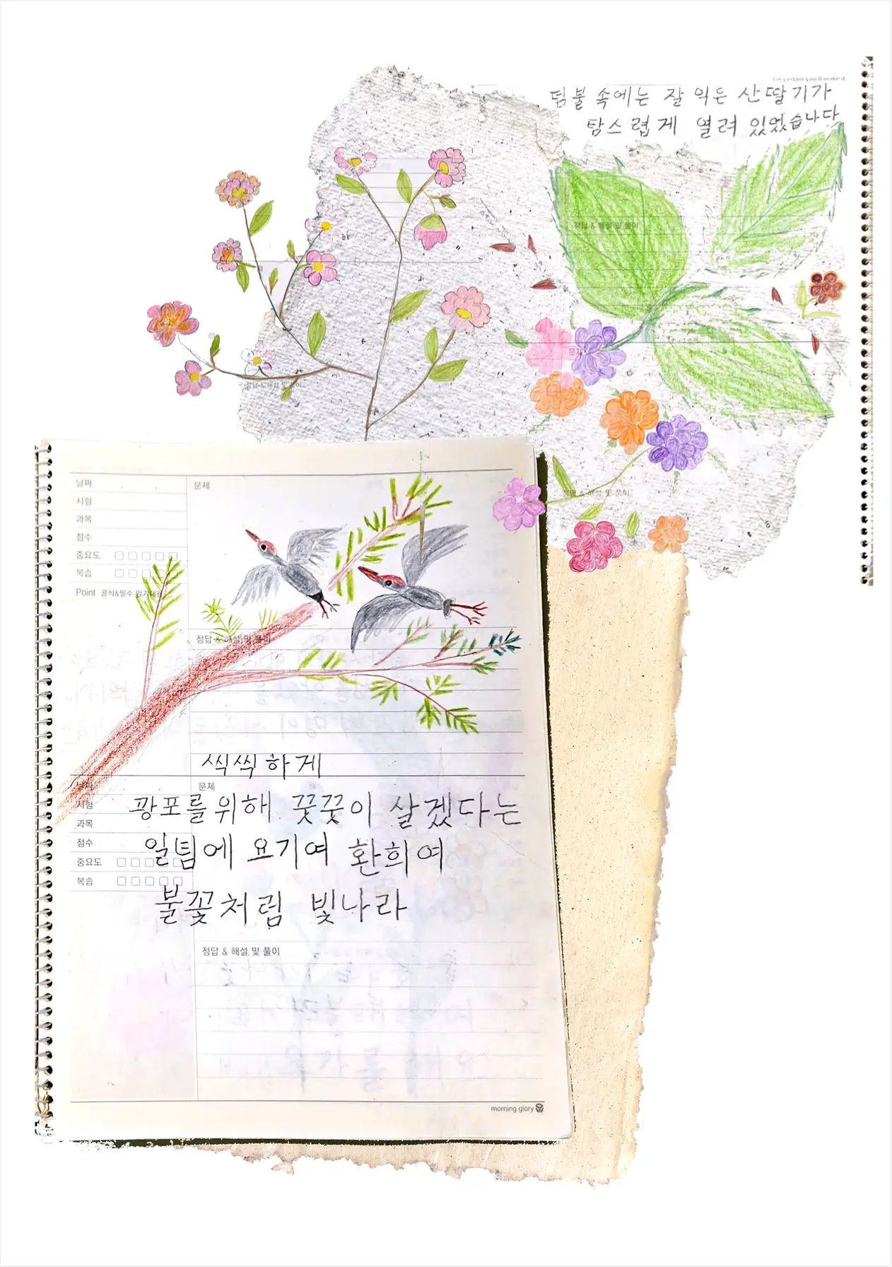 이미지 6