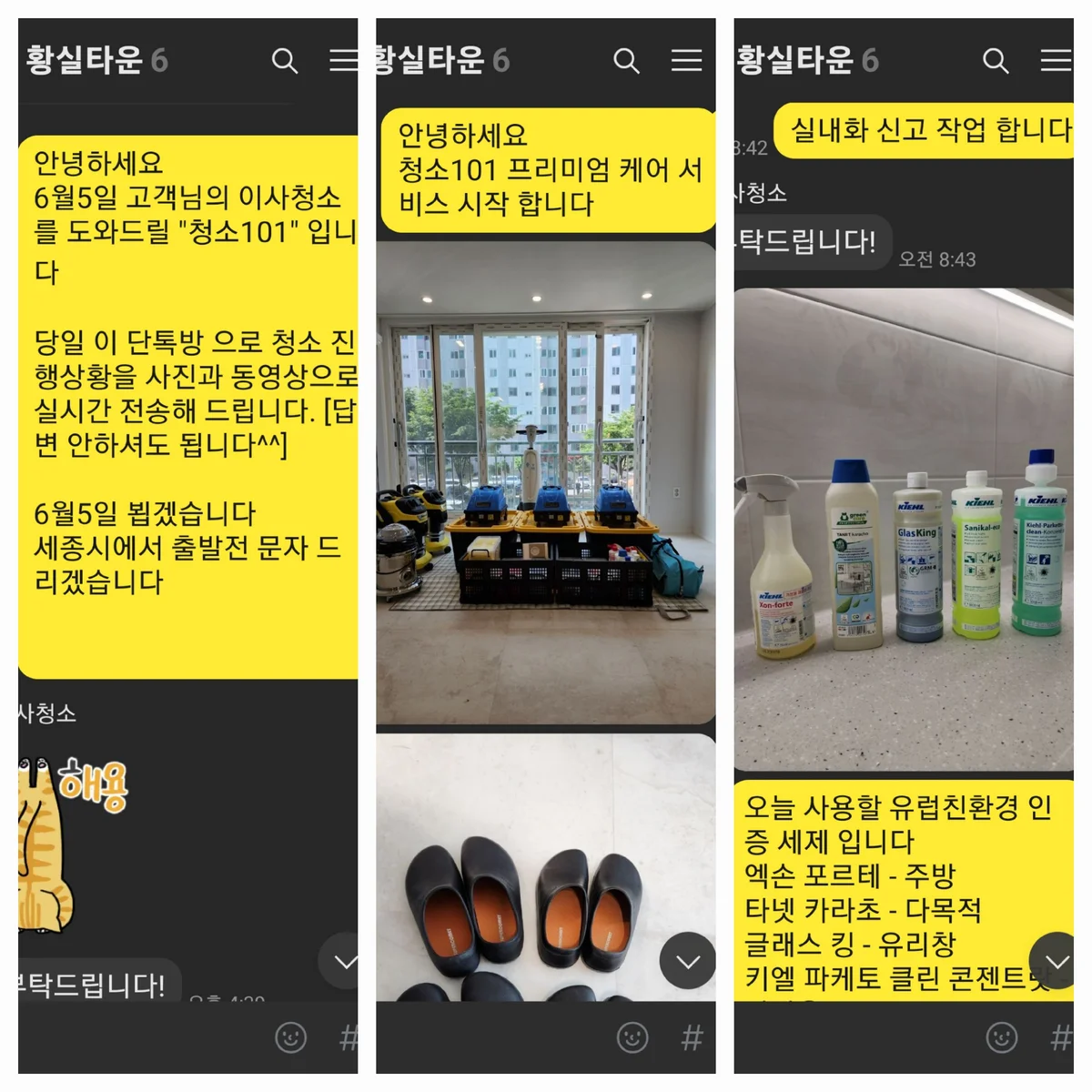 이미지 5