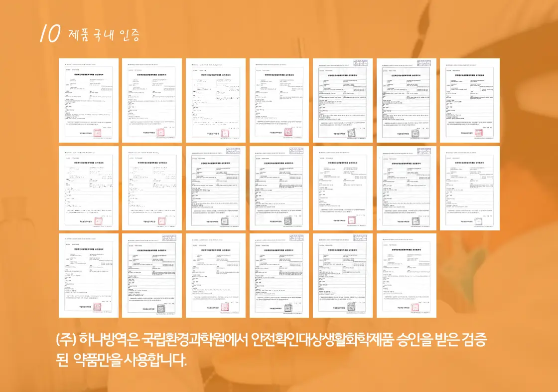 이미지 11