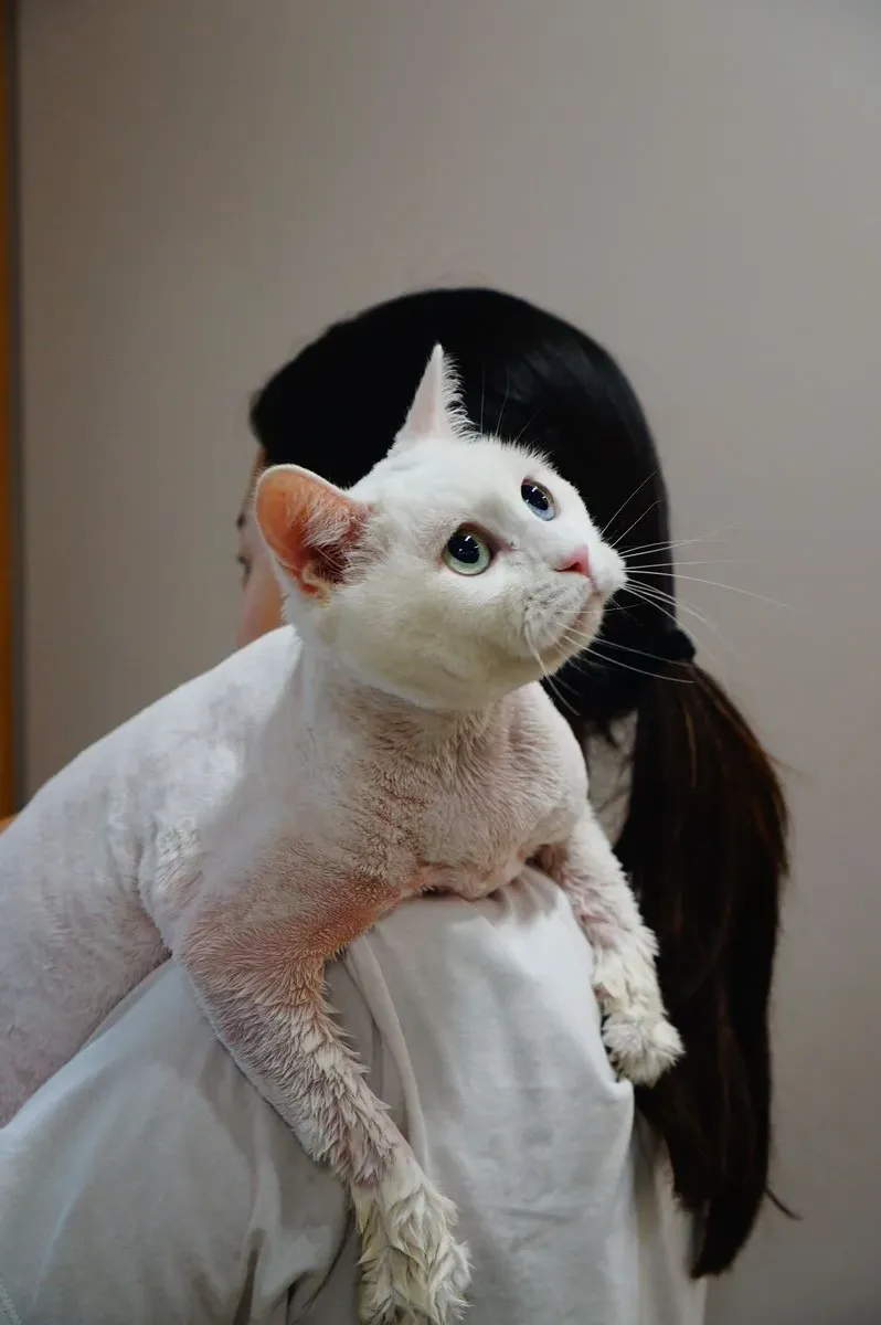 이미지 12