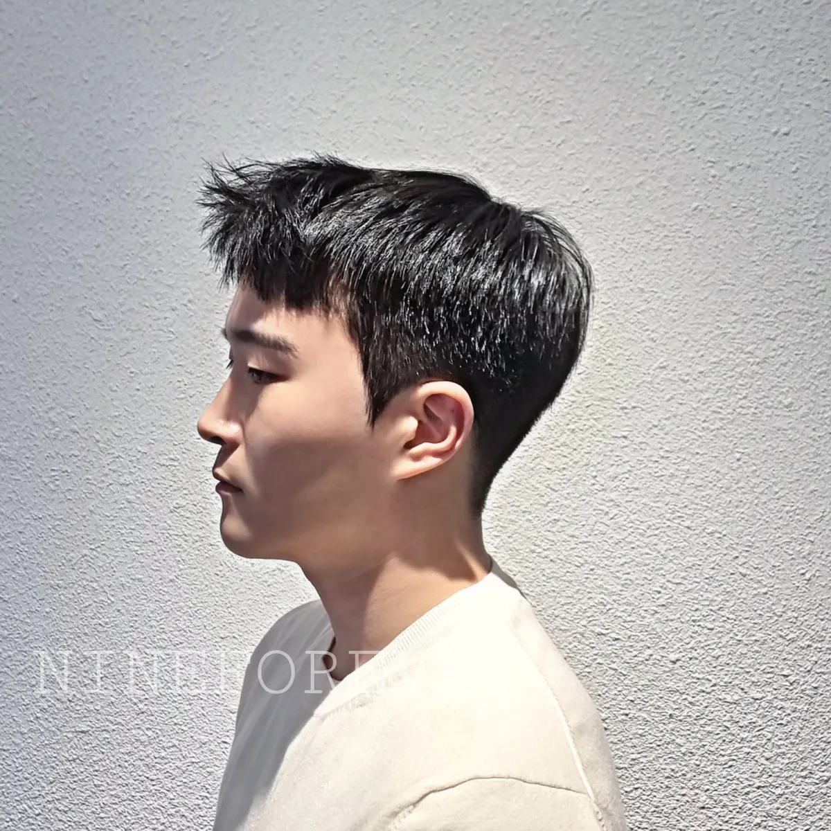 이미지 5