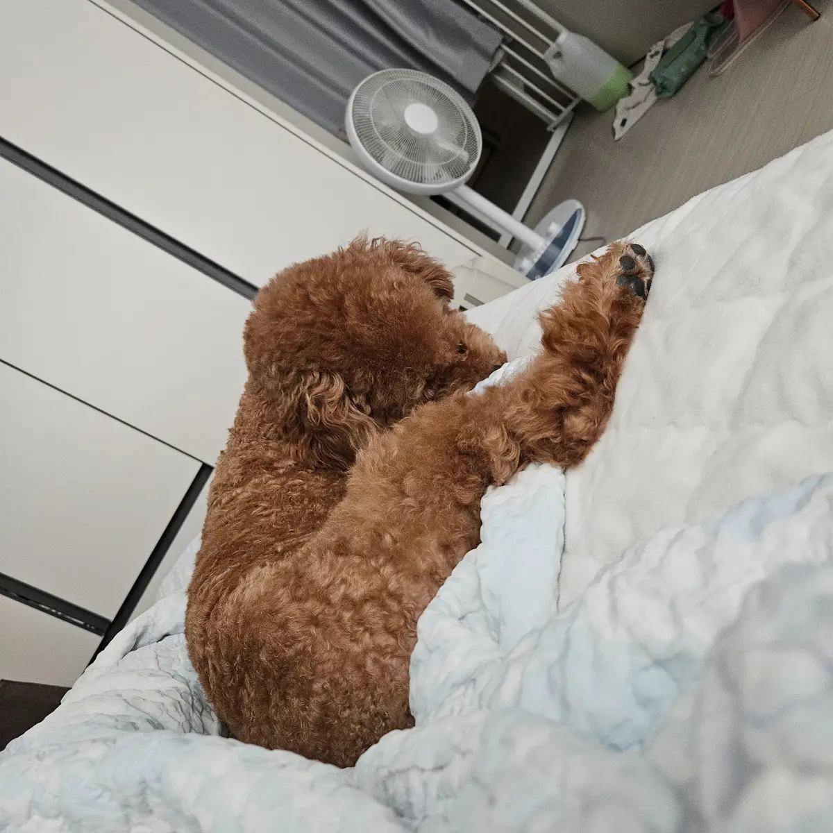 이미지 3