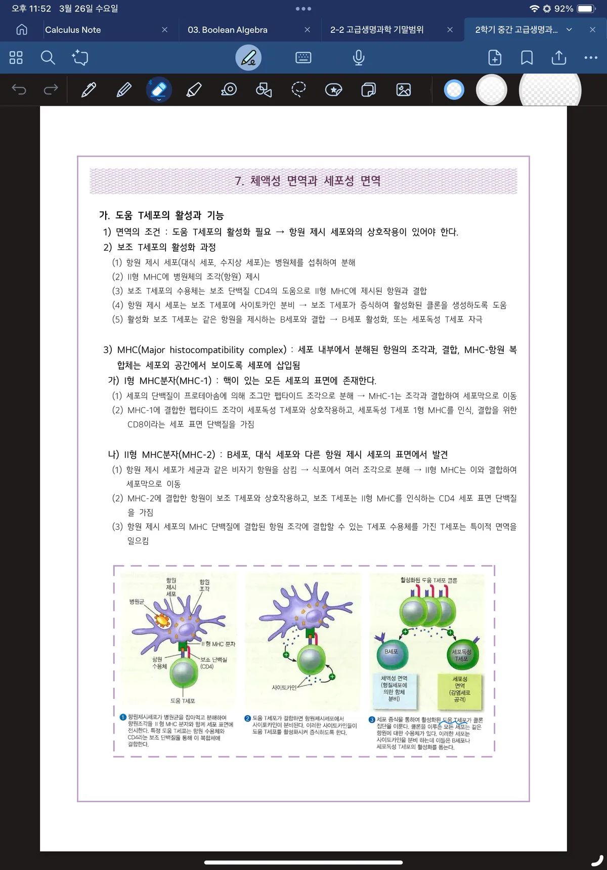 이미지 10