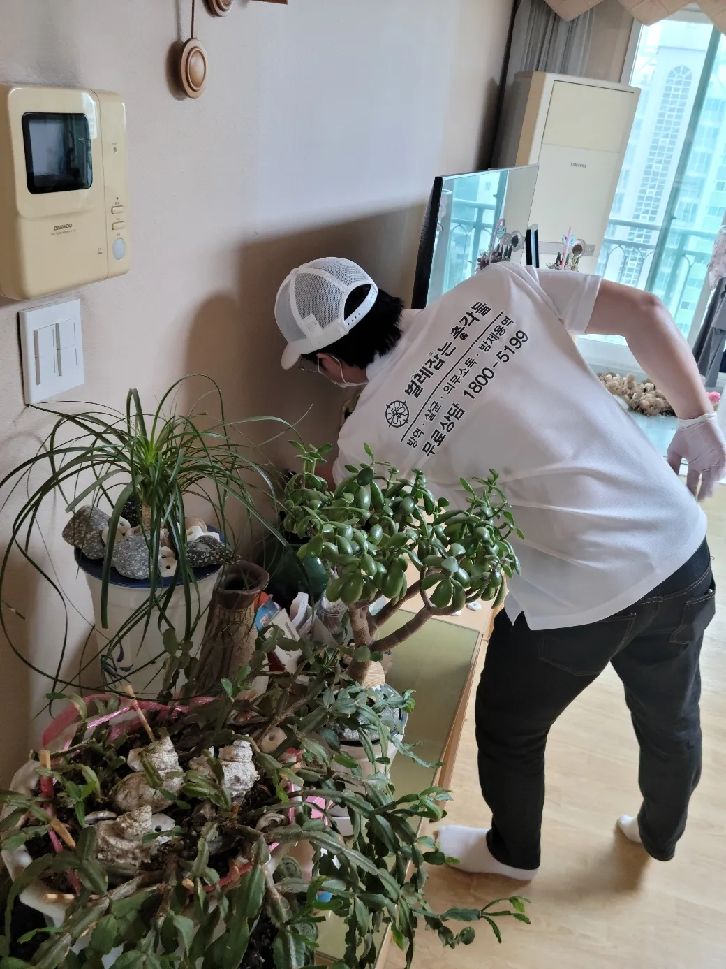 이미지 5