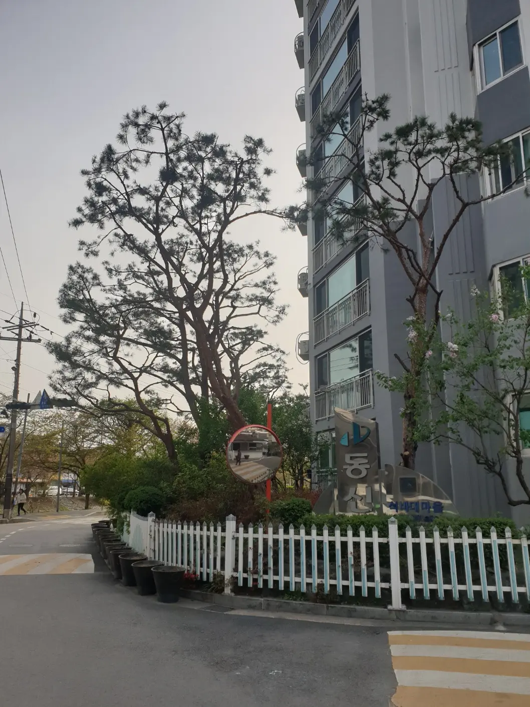 이미지 6