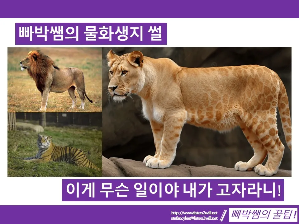이미지 6