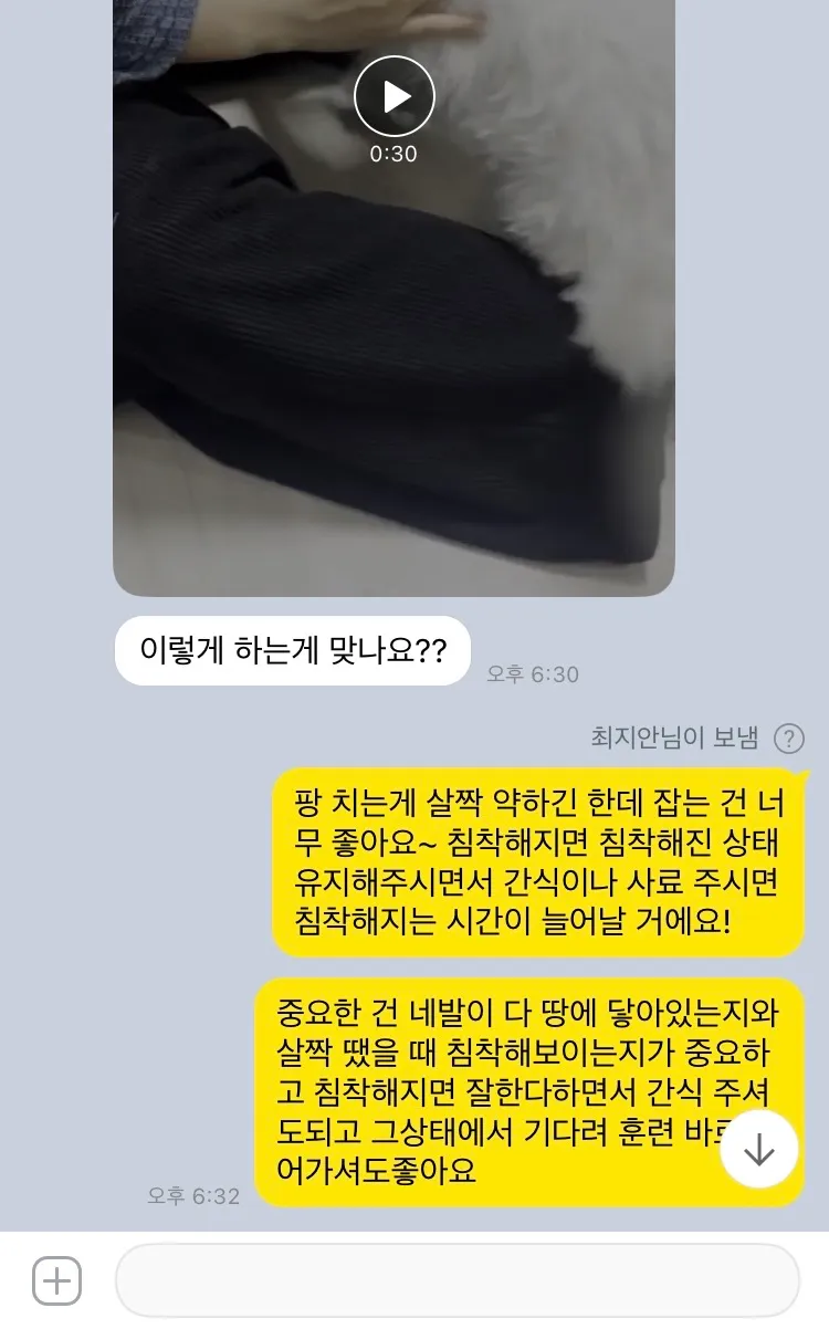 이미지 10