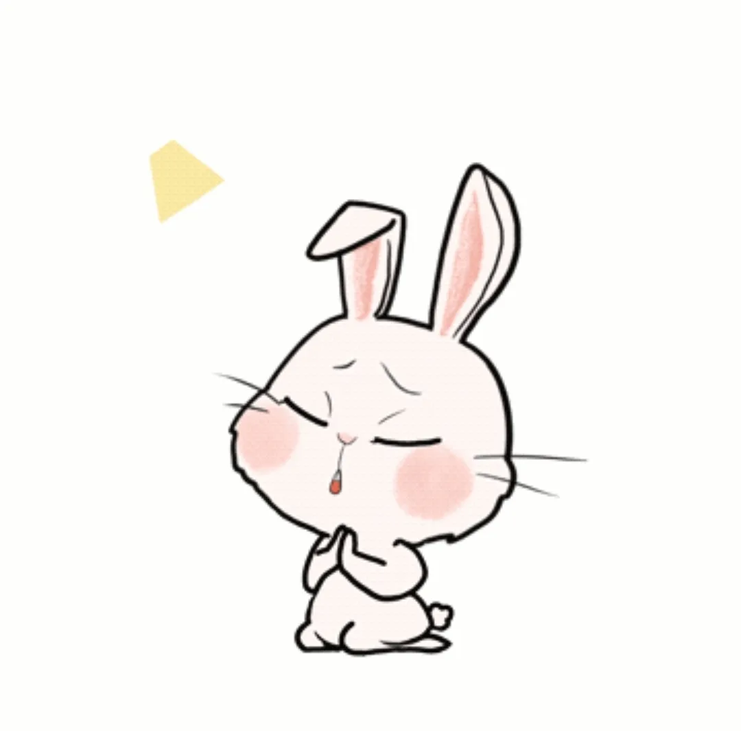 이미지 11