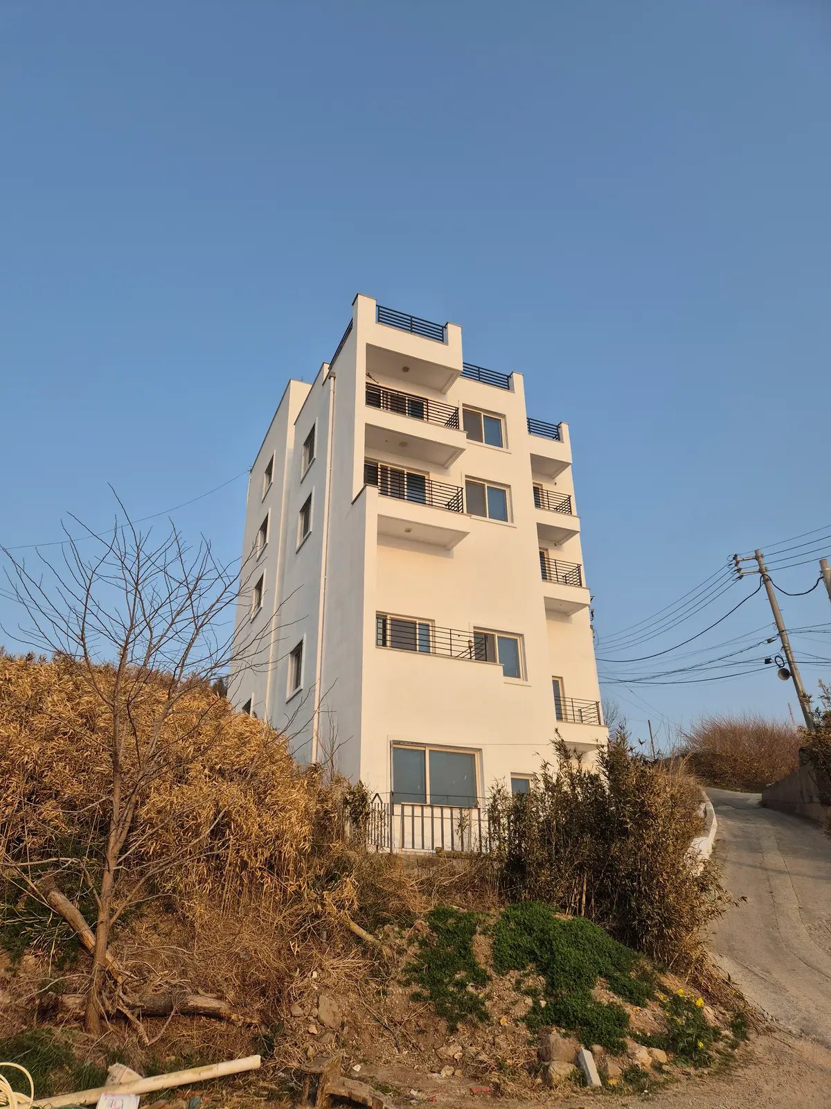 이미지 4