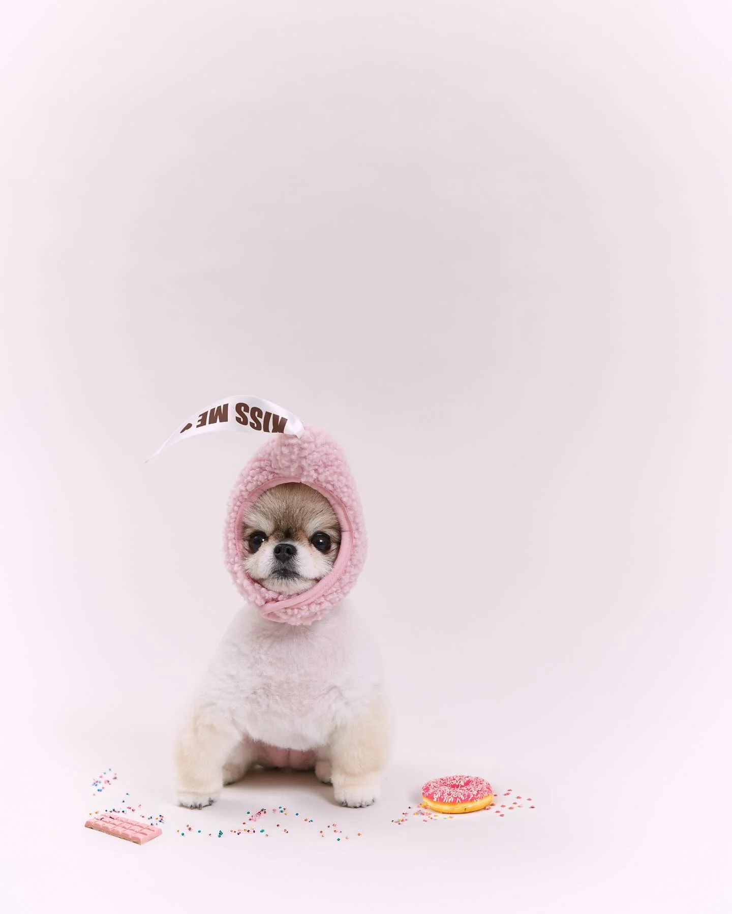 이미지 3