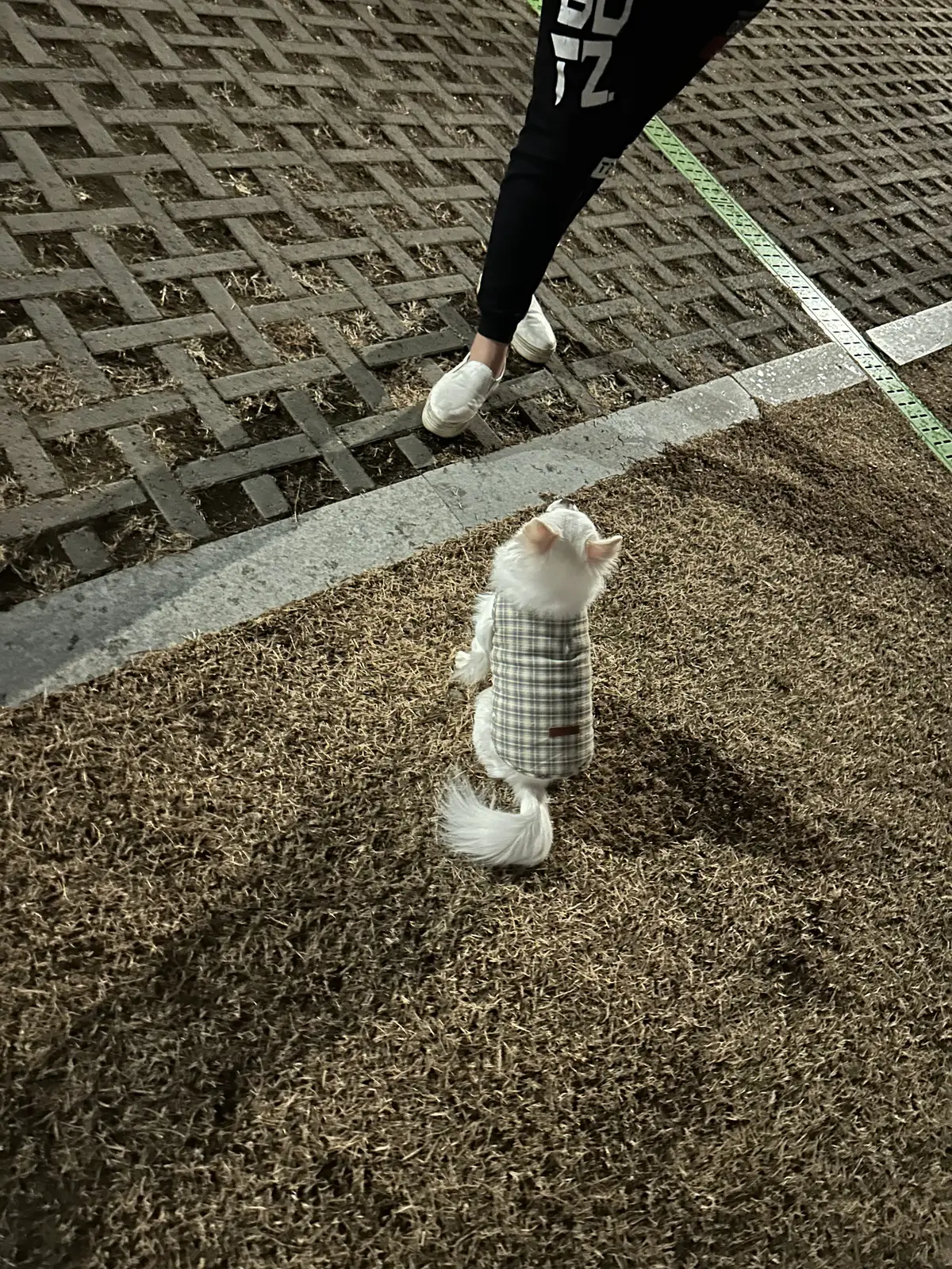 이미지 7