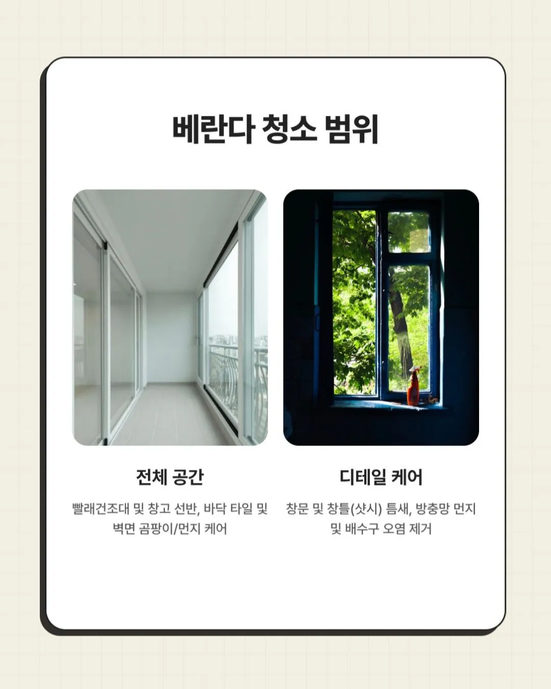 이미지 12
