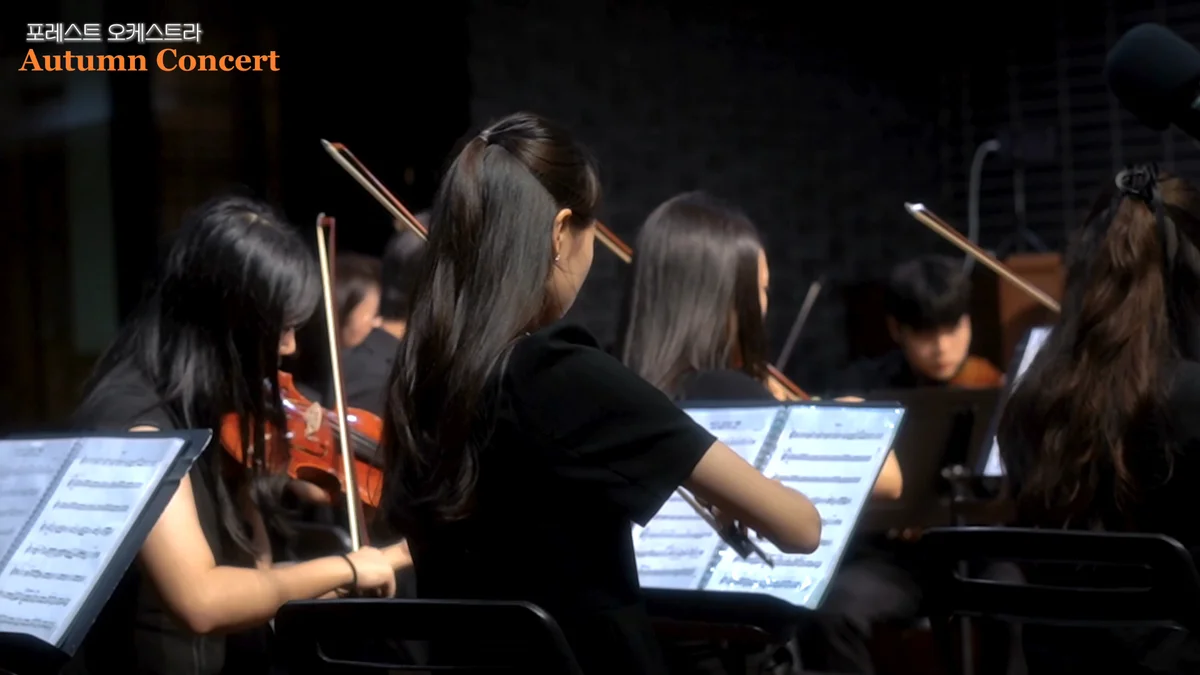 이미지 12
