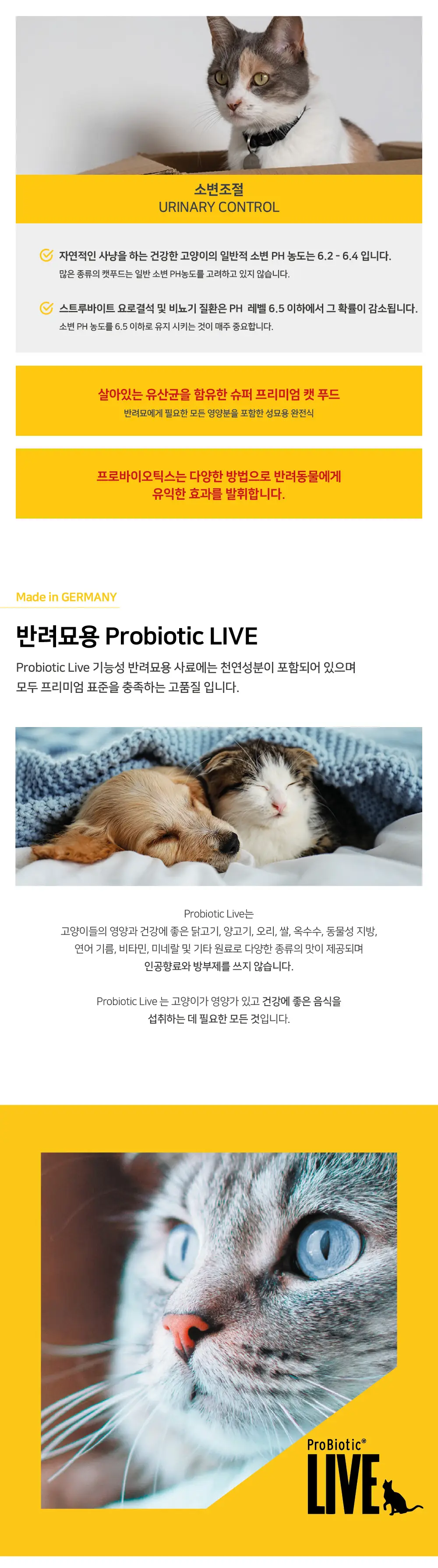 이미지 4
