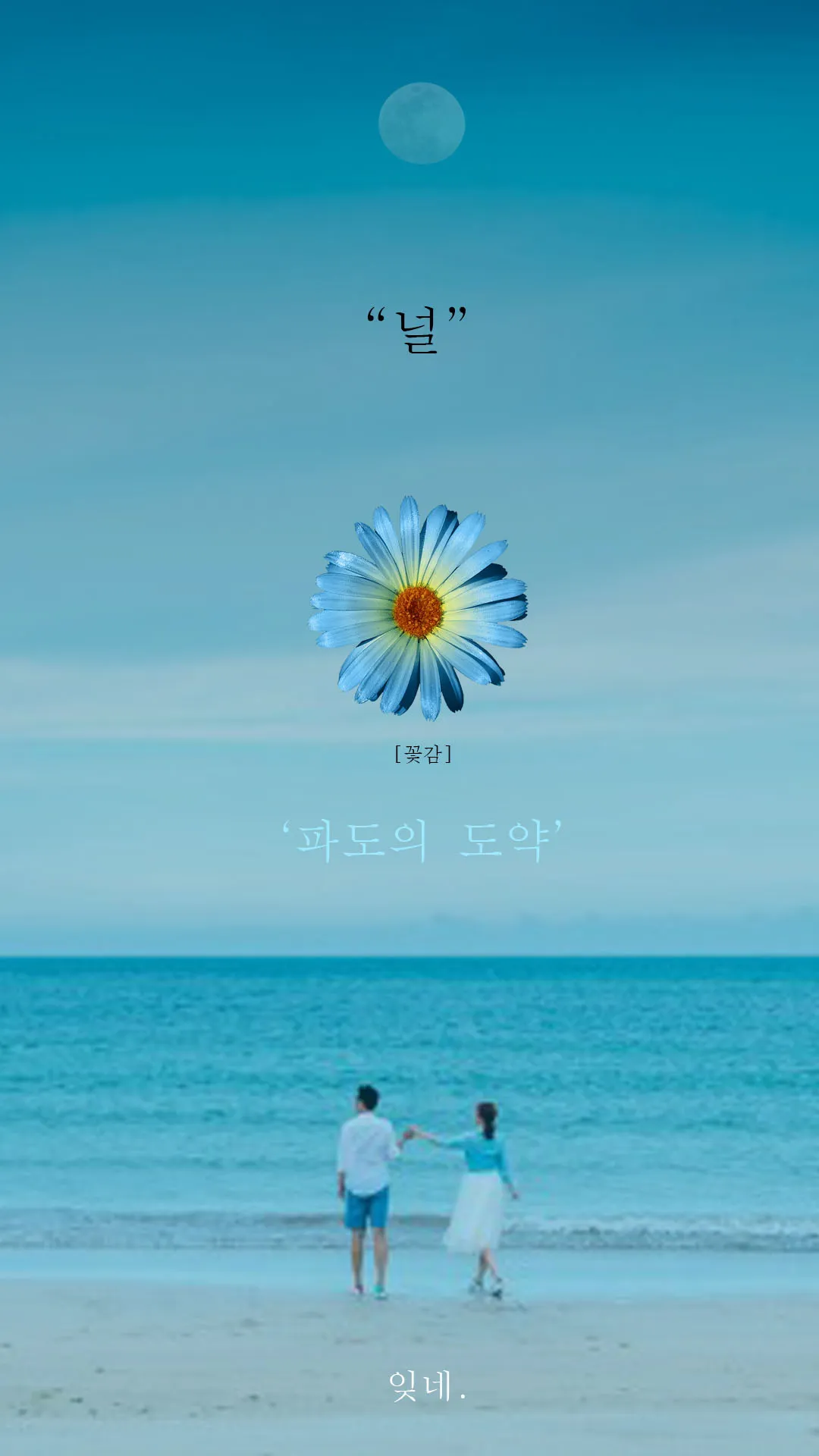 이미지 6