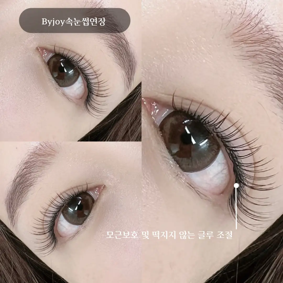 이미지 4
