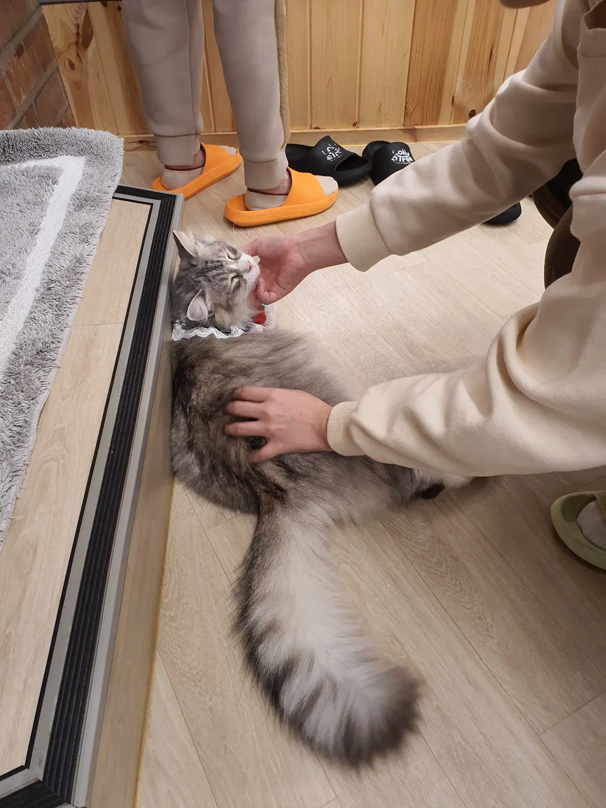이미지 3