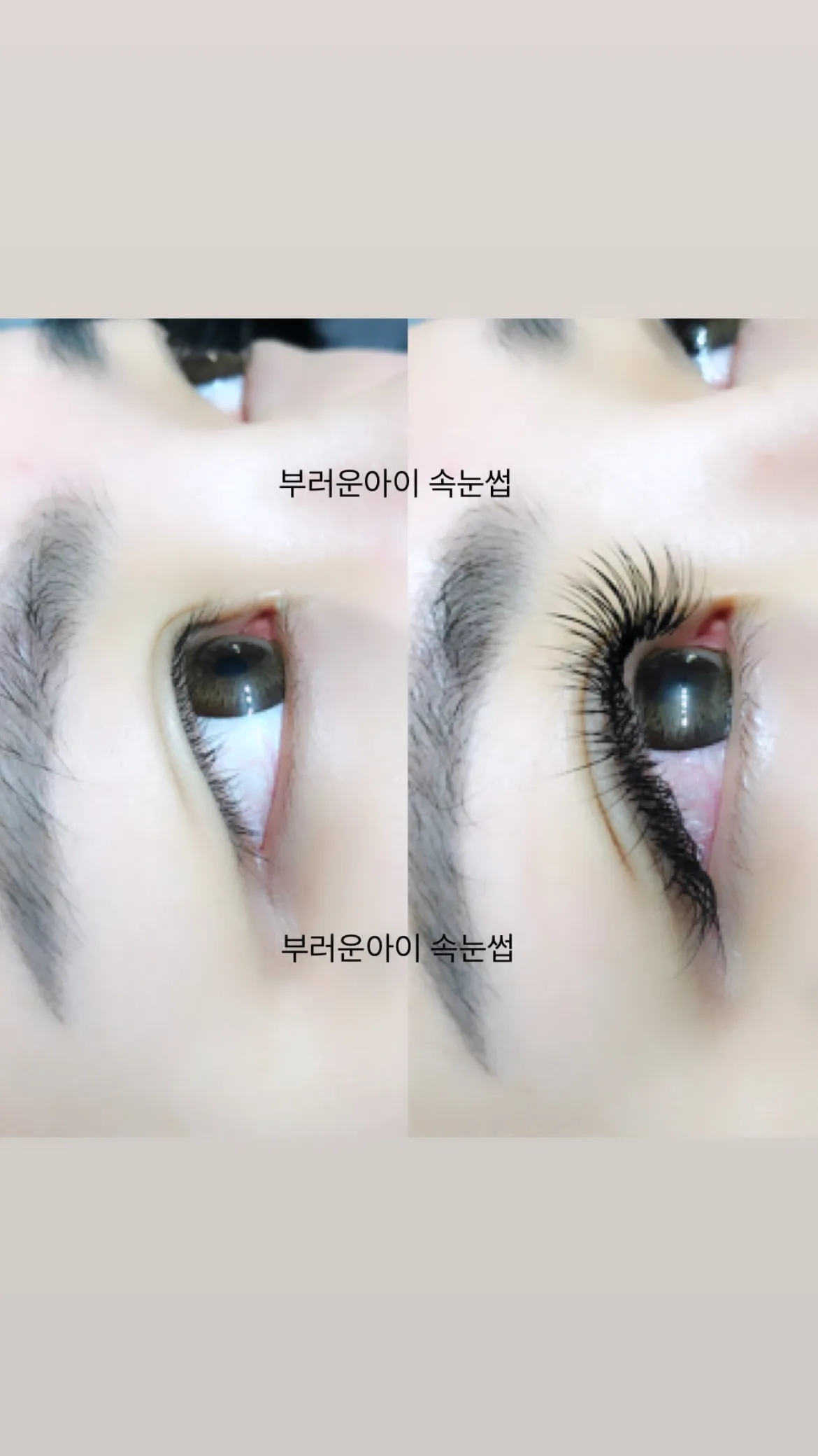 이미지 8