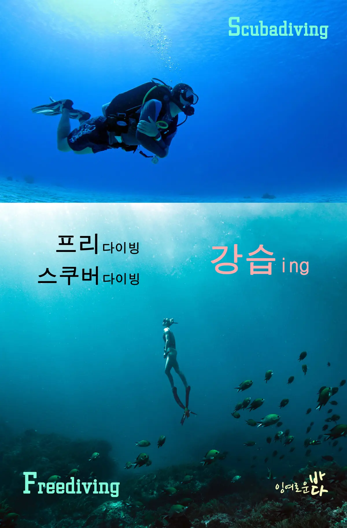 이미지 4