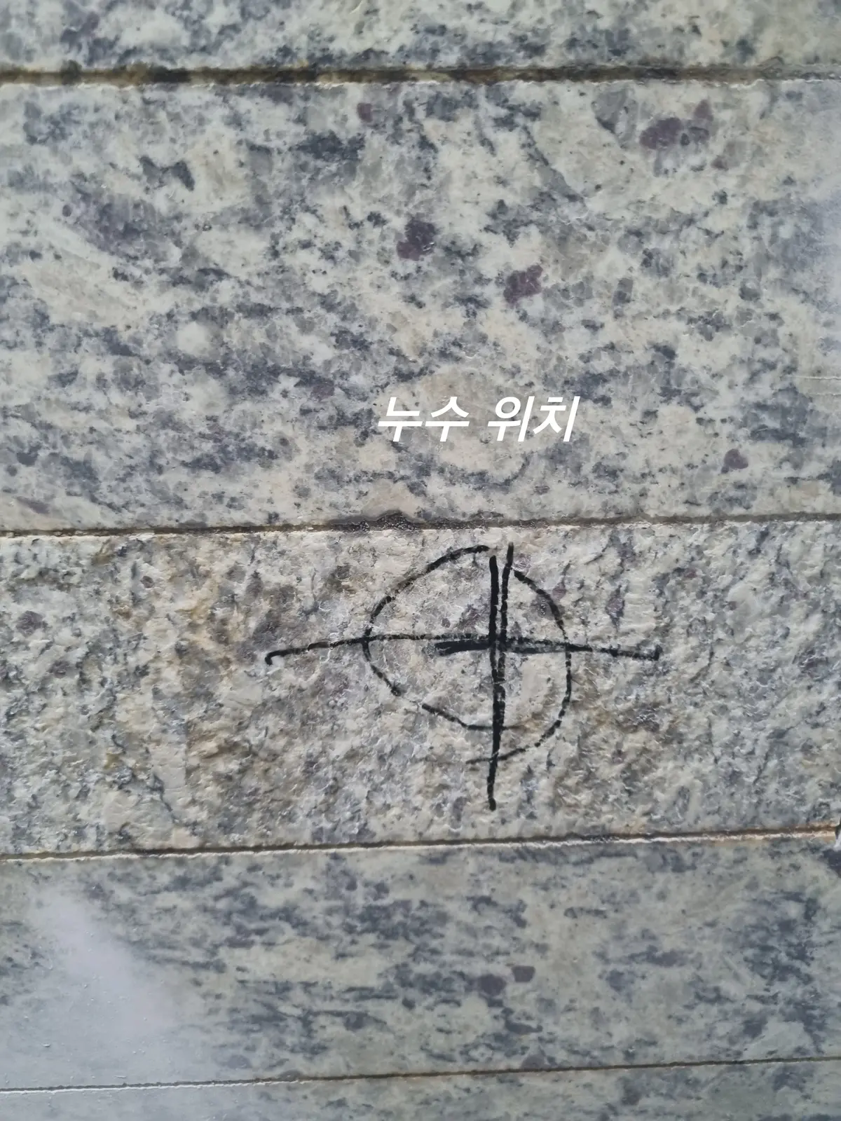 이미지 6