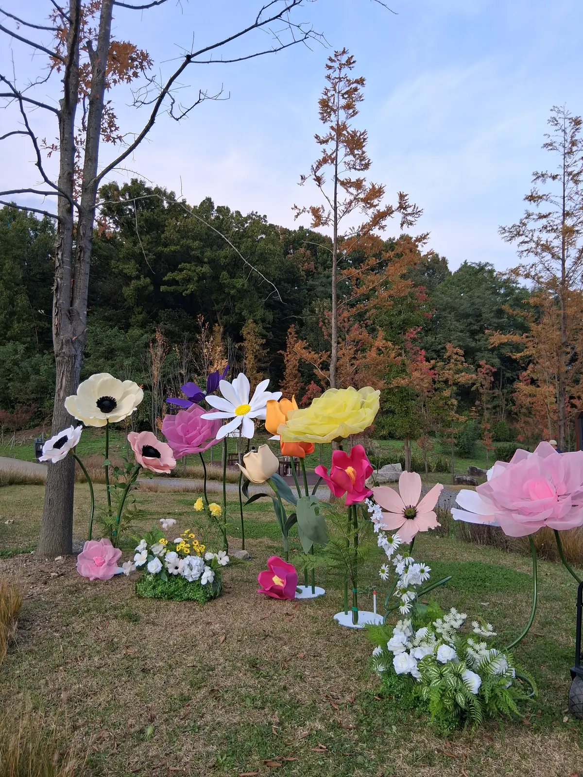 이미지 14