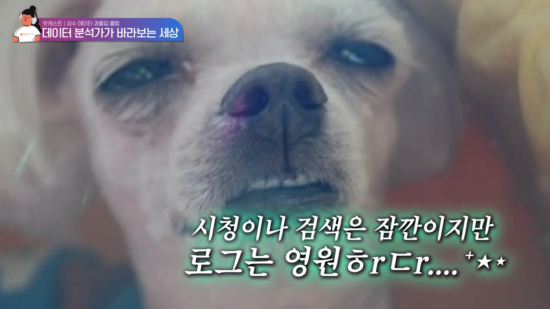 이미지 5