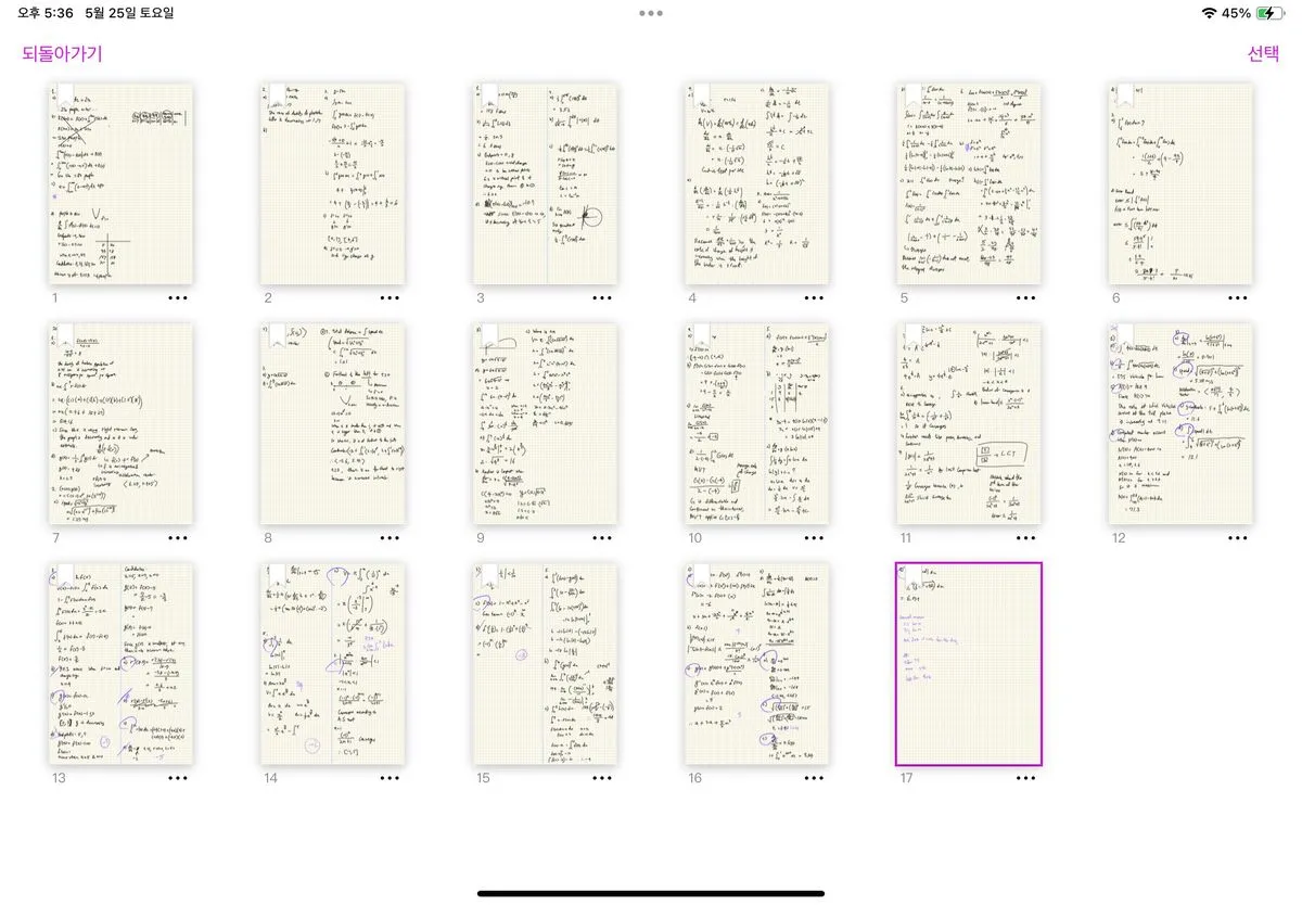 포트폴리오 이미지