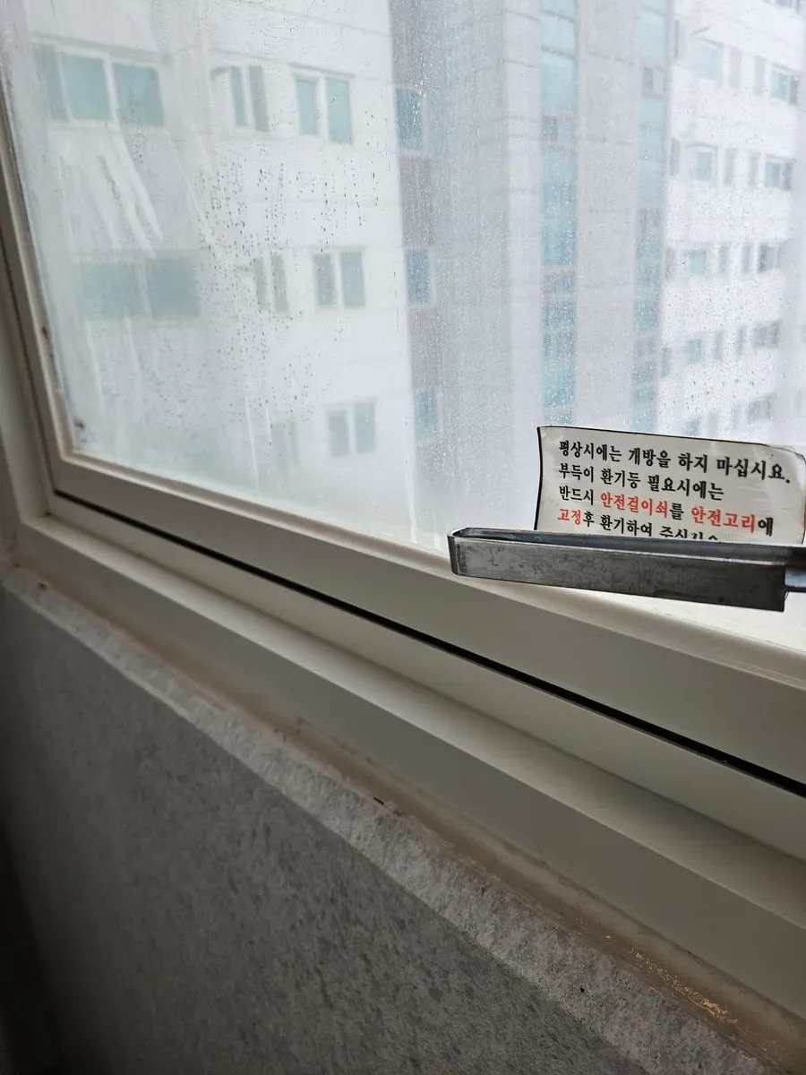 이미지 16