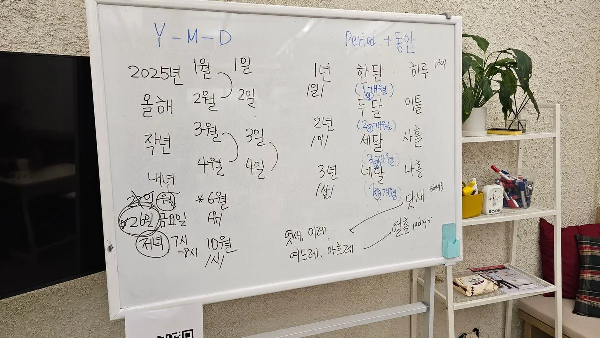이미지 4