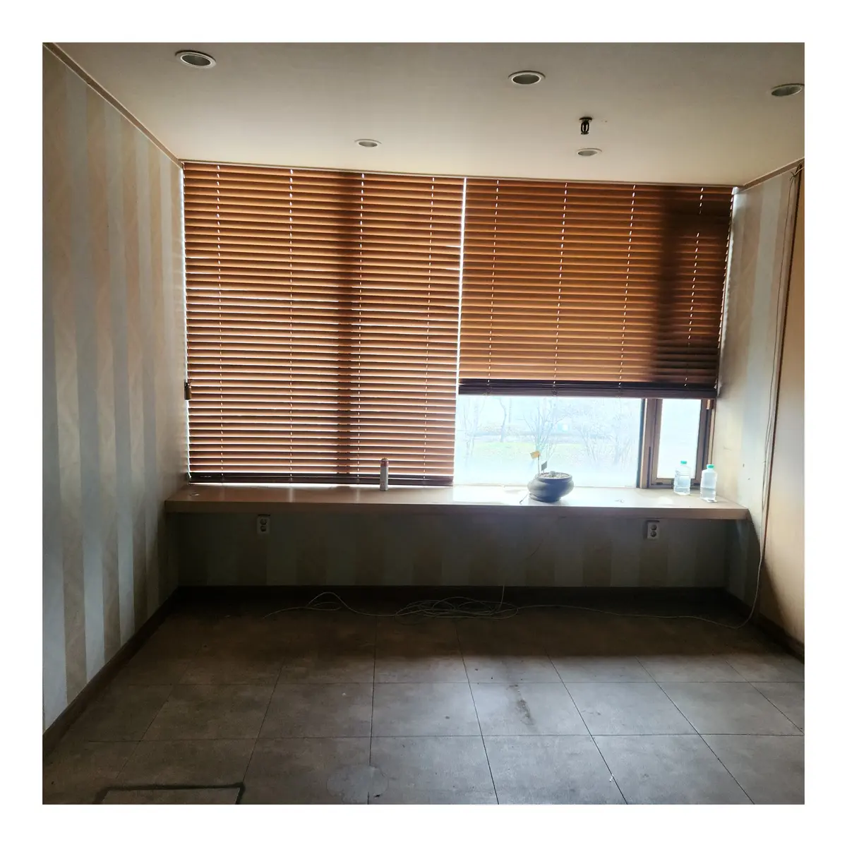 이미지 14