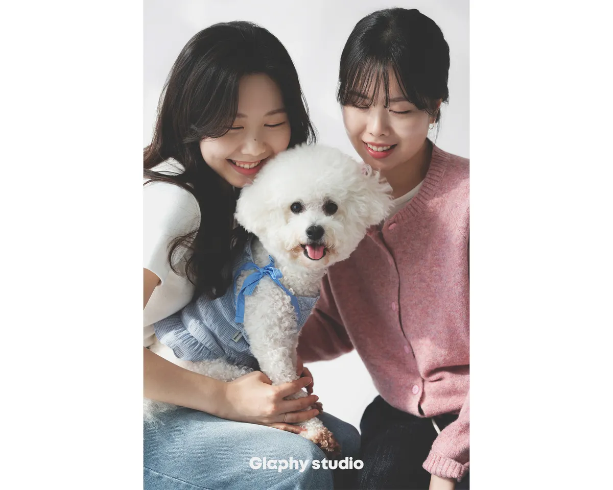 이미지 3