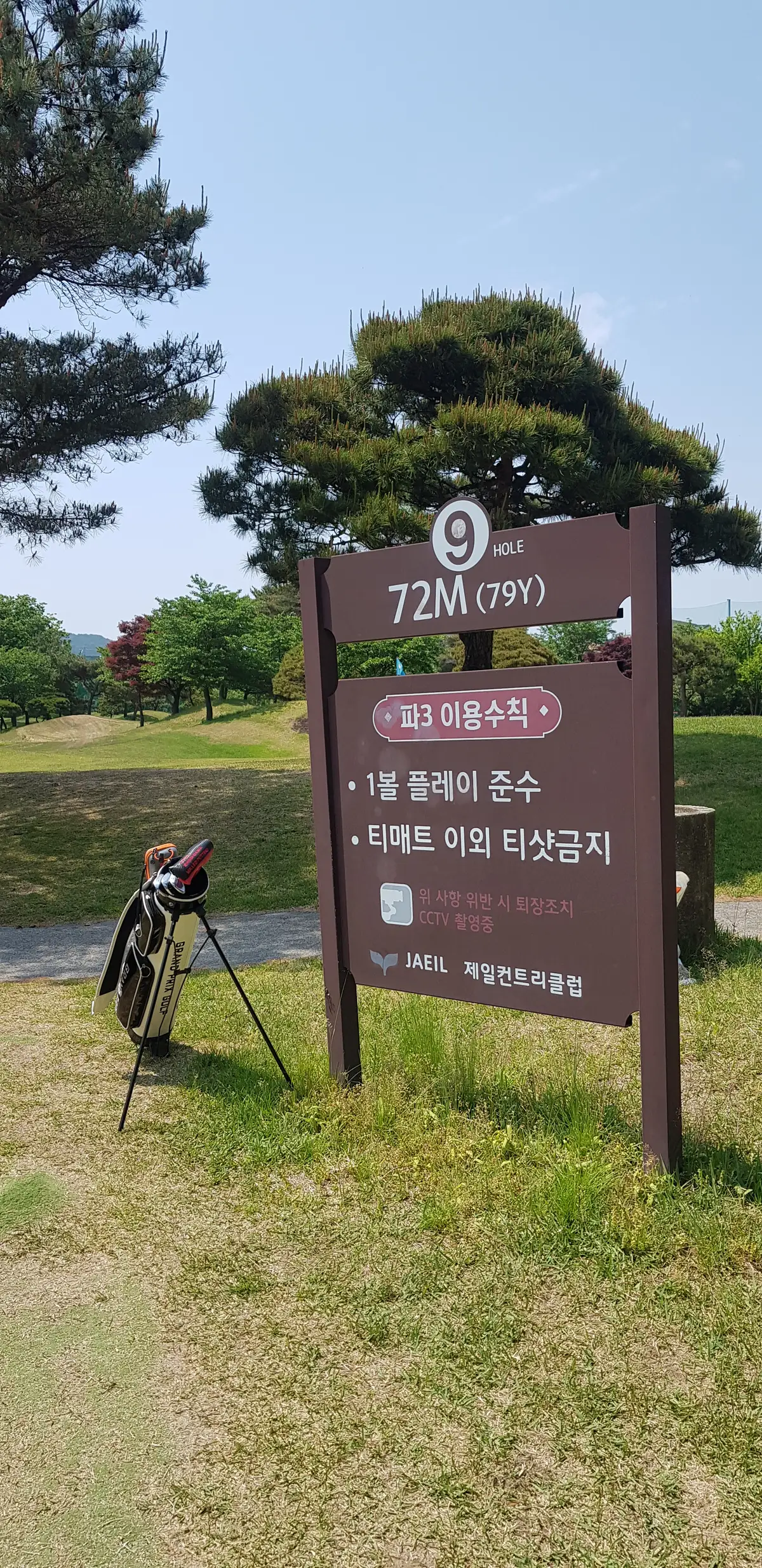이미지 8