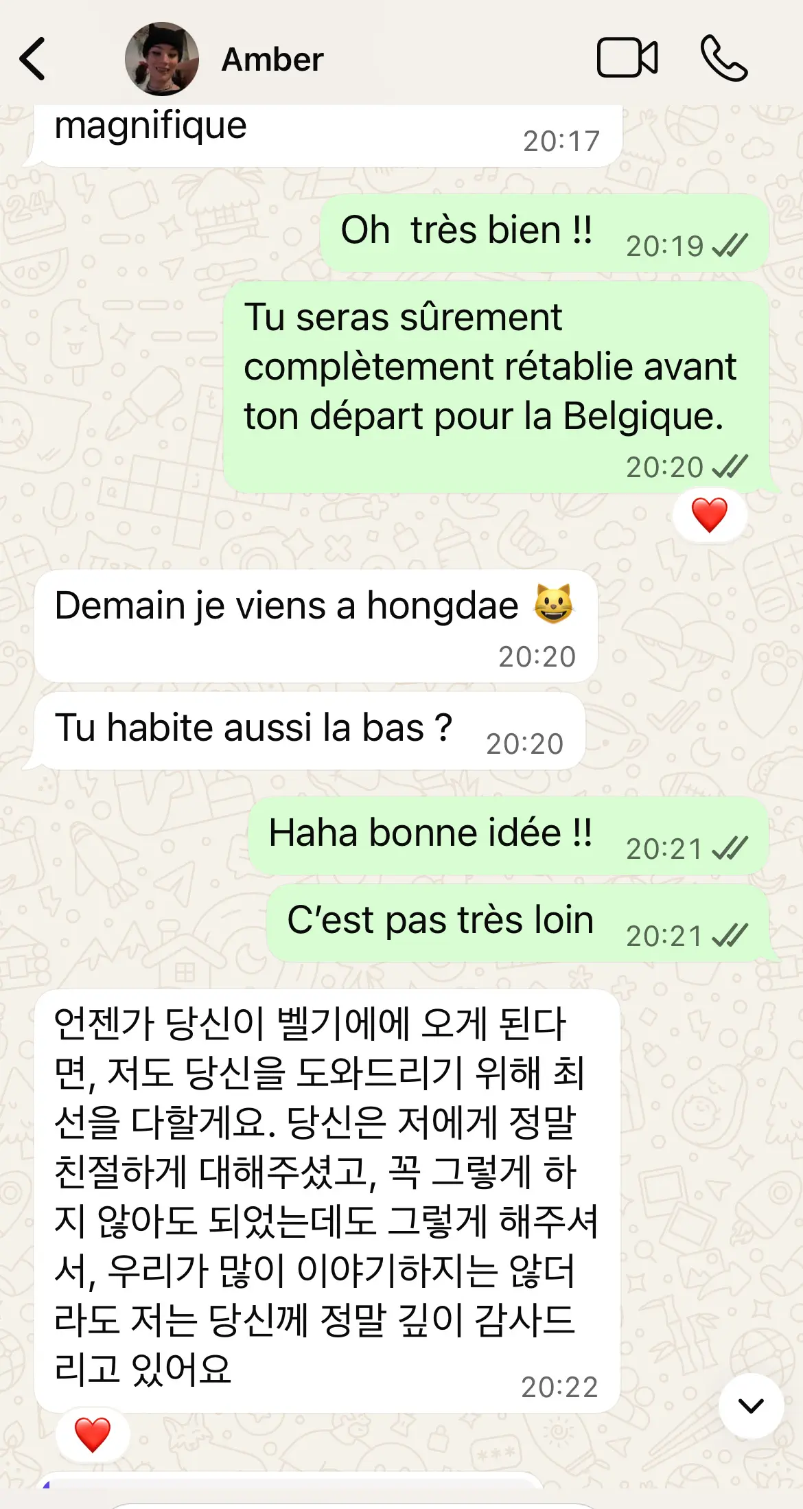 이미지 4