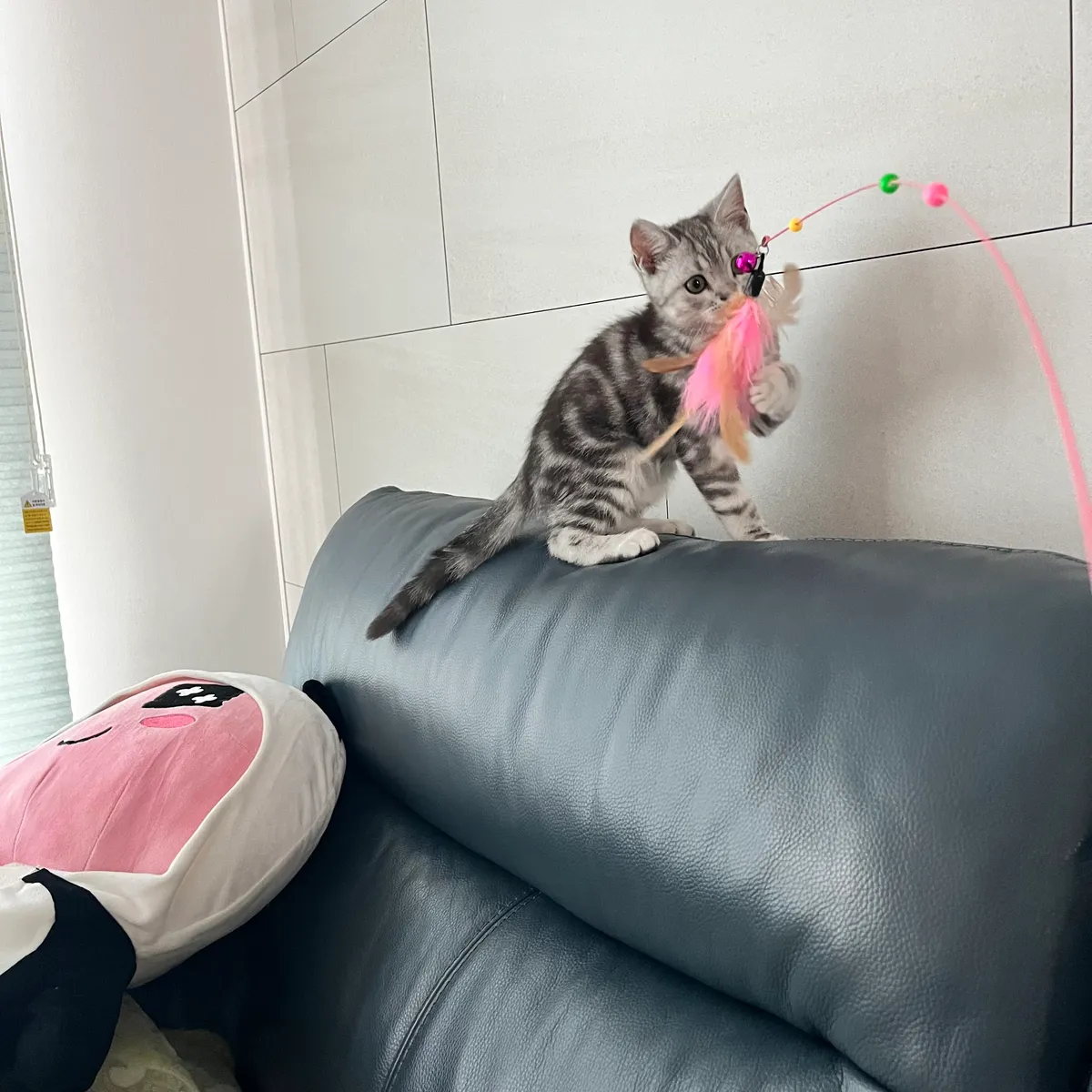 이미지 4