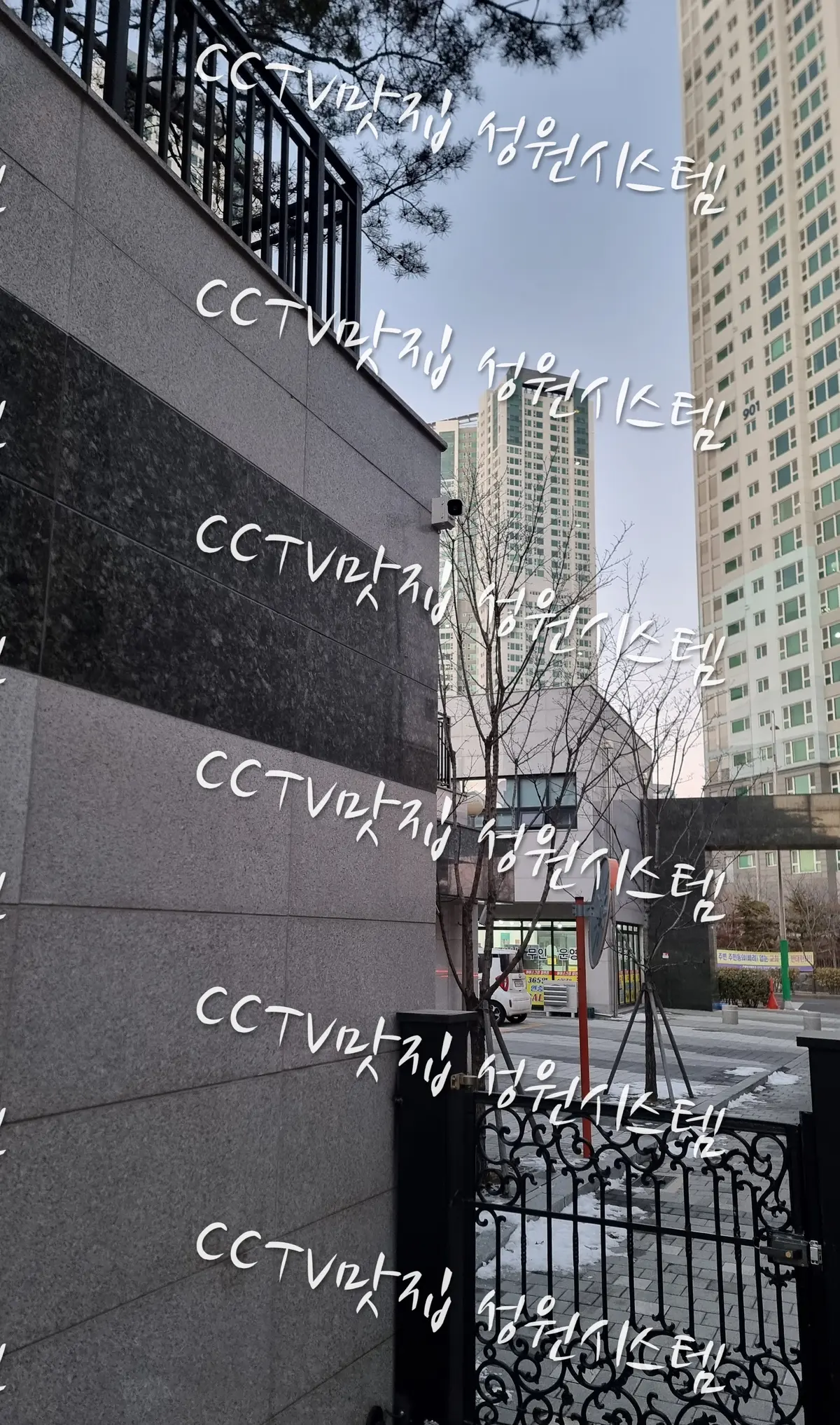 이미지 3