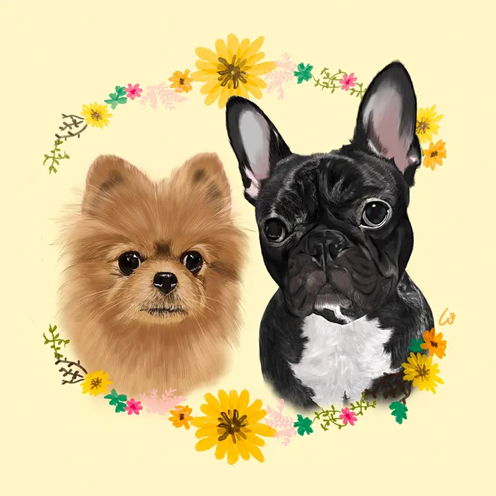 포트폴리오 이미지