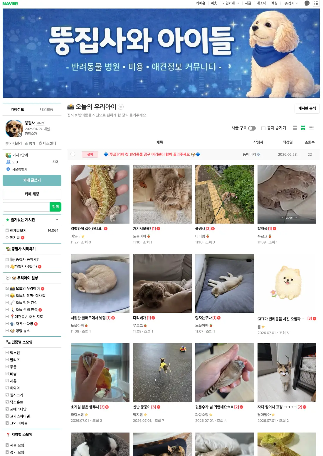 이미지 8